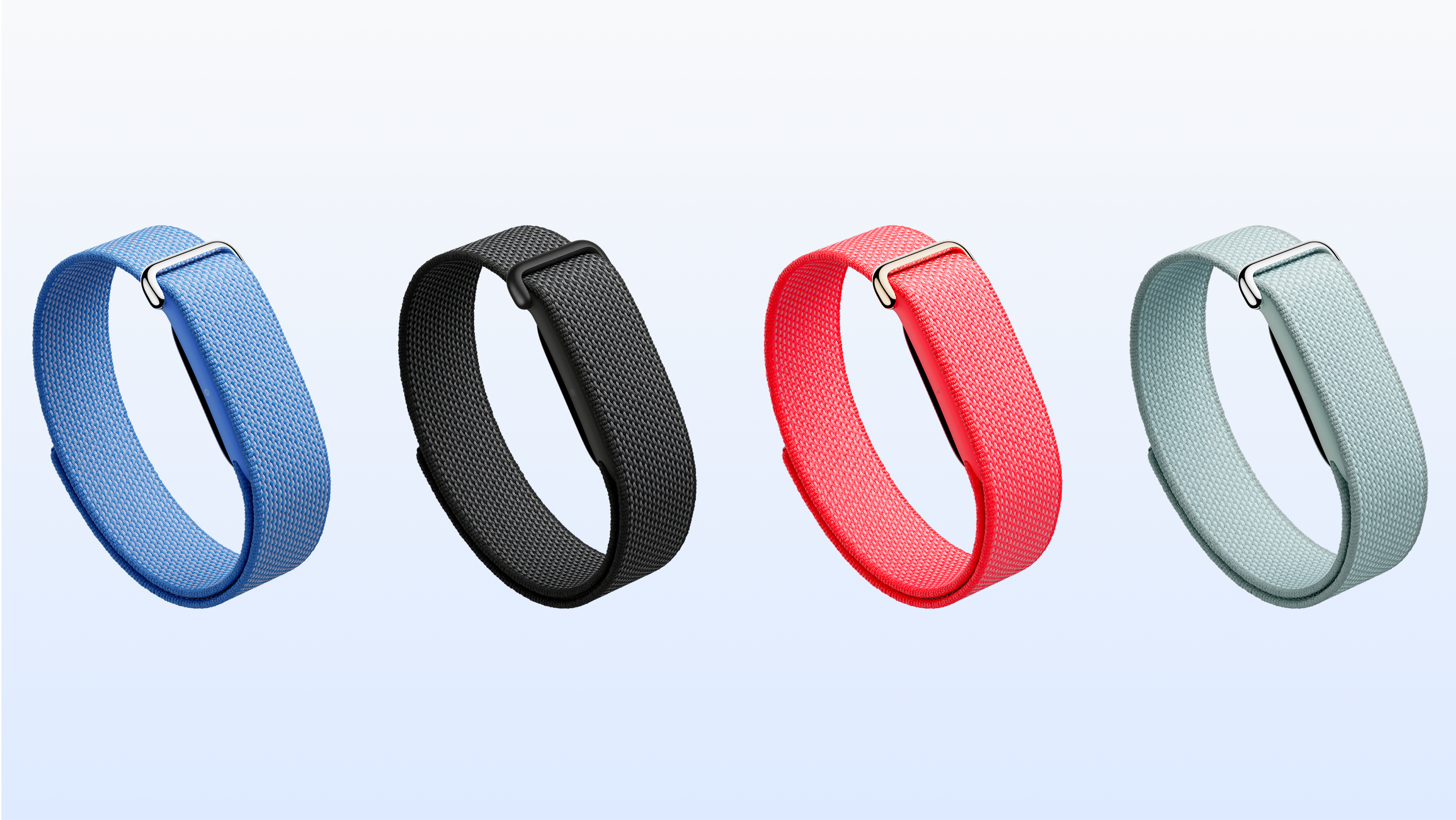Google Fitbit Air Source: Google