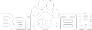 Baidu